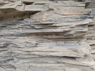 Multiple bedding styles arranged side by side to show variety.
