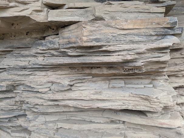 Multiple bedding styles arranged side by side to show variety.