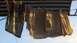 Rows of freshly laundered towels hanging to dry in bright sunlight.