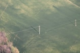 An aerial view of a vast, green agricultural field with two utility poles connected by power lines. The field exhibits variations in texture and color, possibly indicating different stages of crop growth or land use. There are faint tracks and a patch of trees in the lower left corner.