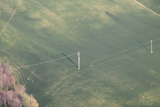 An aerial view of a vast, green agricultural field with two utility poles connected by power lines. The field exhibits variations in texture and color, possibly indicating different stages of crop growth or land use. There are faint tracks and a patch of trees in the lower left corner.