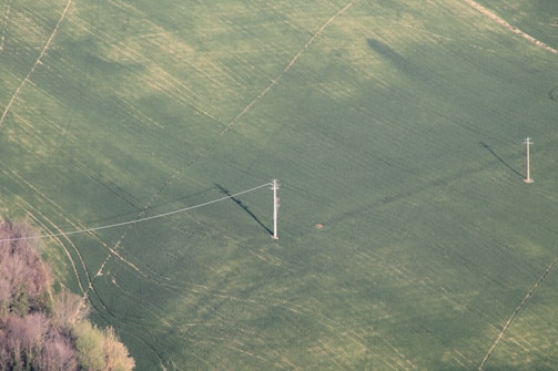 An aerial view of a vast, green agricultural field with two utility poles connected by power lines. The field exhibits variations in texture and color, possibly indicating different stages of crop growth or land use. There are faint tracks and a patch of trees in the lower left corner.