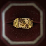 Elegant gold ring with intricate detailing displayed on a dark velvet cushion.