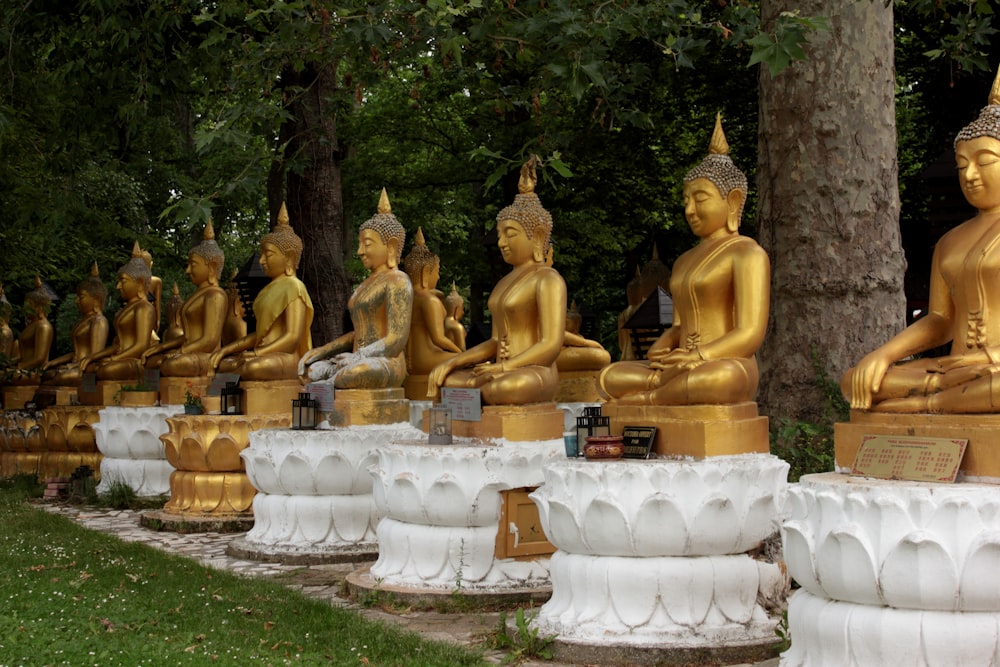 gold buddha statues on white table