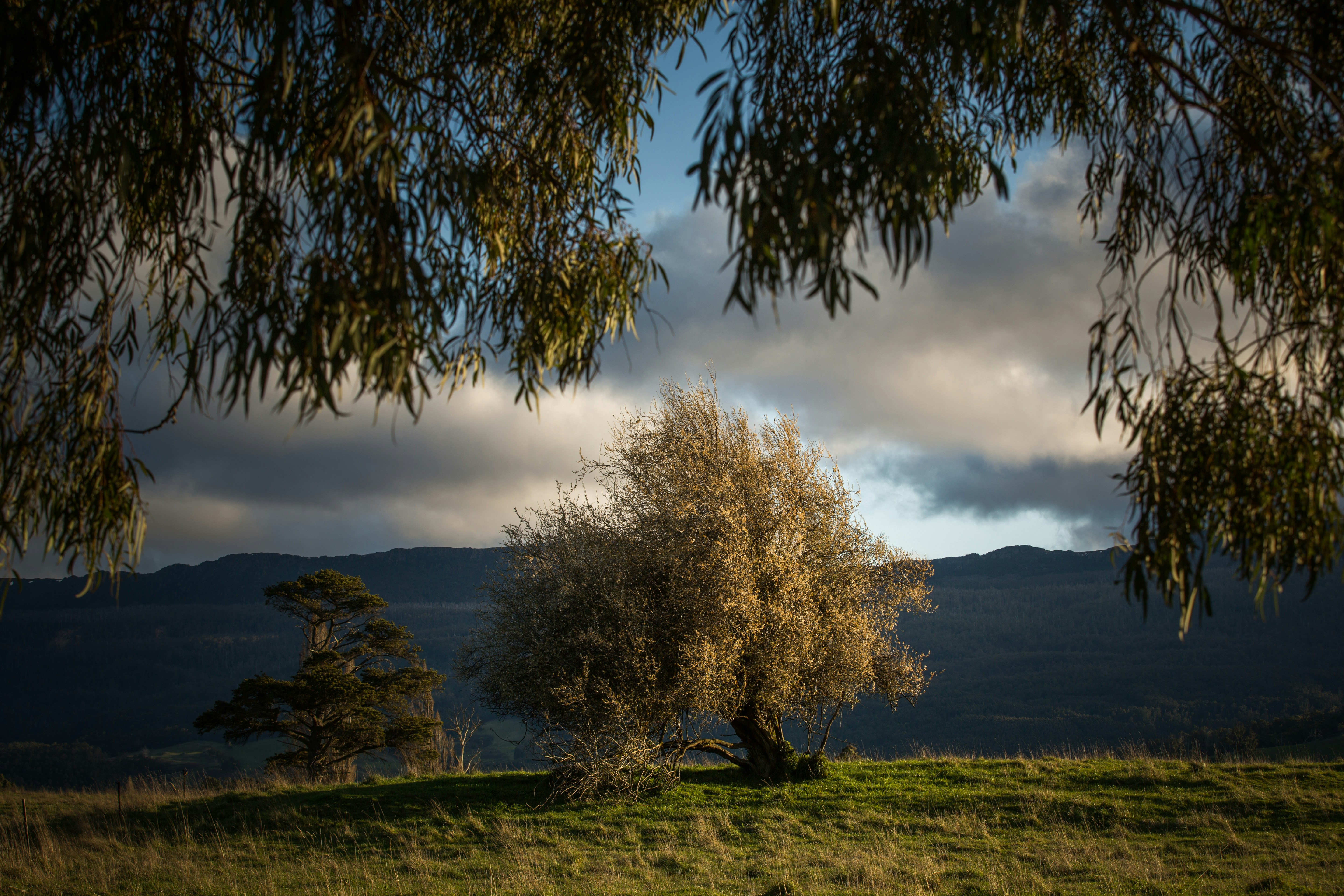 Photo by mattpalmer