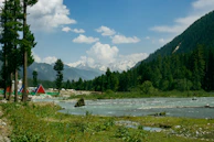 green trees near body of water under white clouds and blue sky during daytime