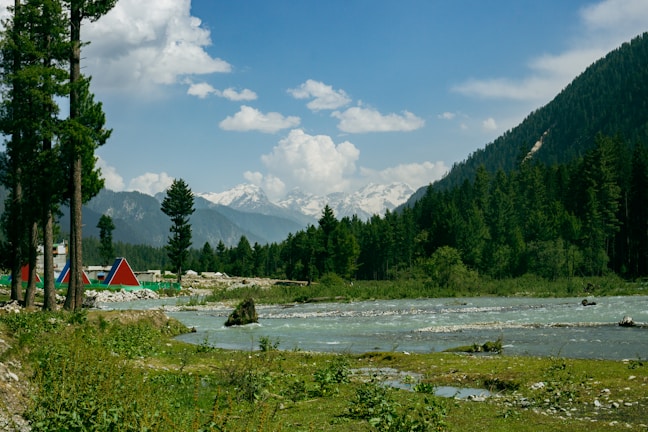 green trees near body of water under white clouds and blue sky during daytime