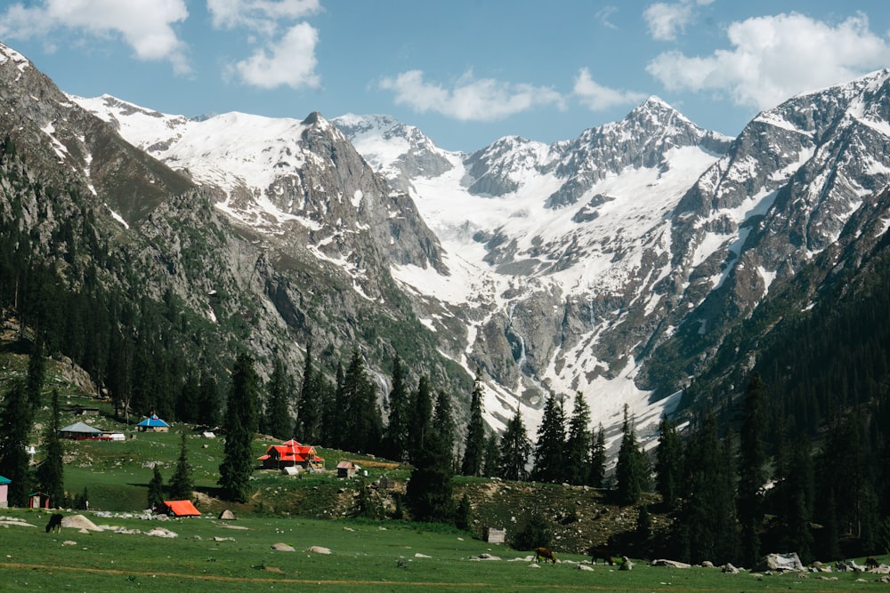 Grünes Grasfeld in der Nähe des schneebedeckten Berges tagsüber