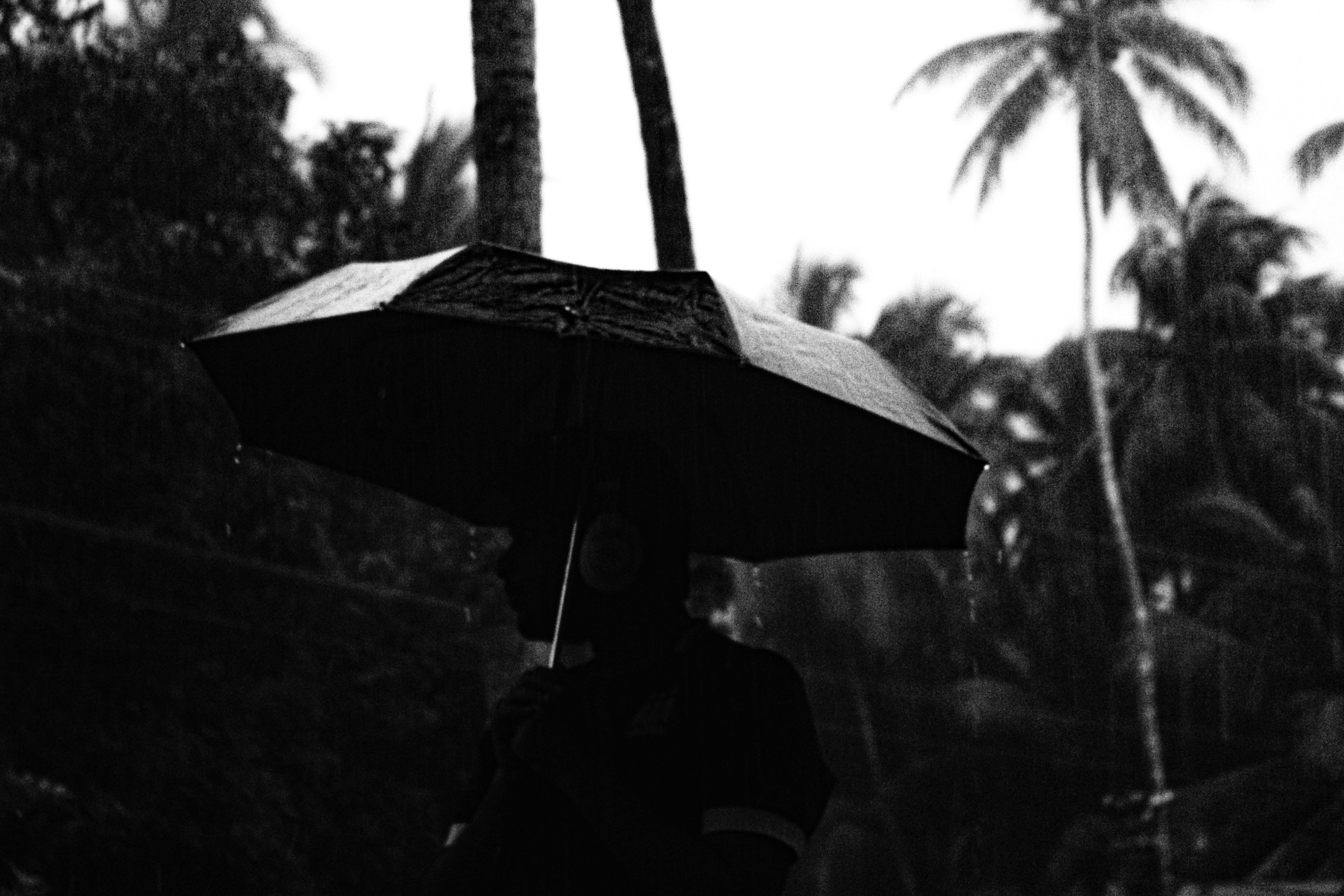 Photo by hillu0