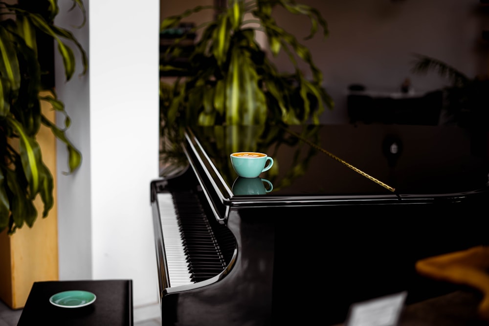 pianta in vaso verde su pianoforte a coda nero