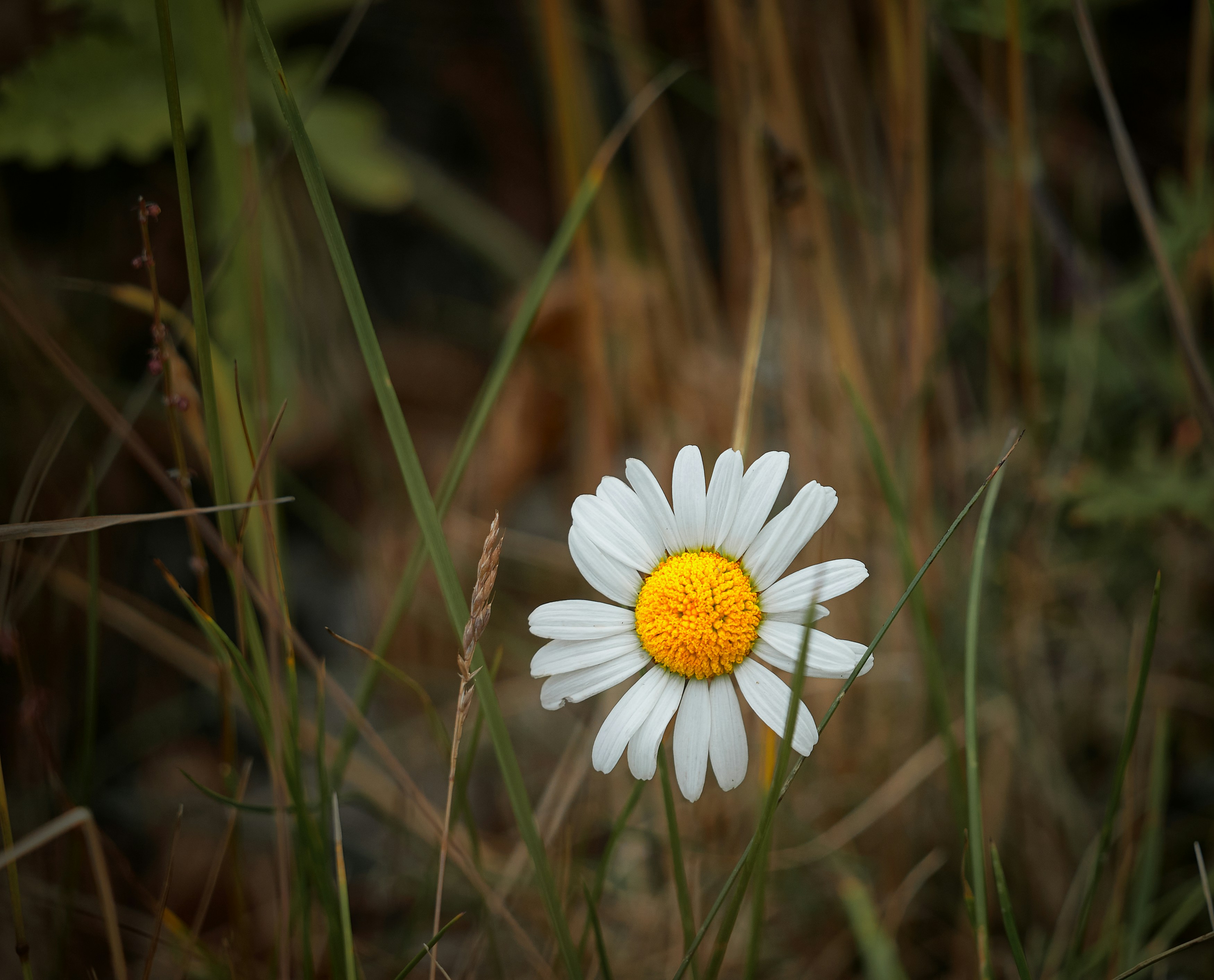 Photo by vidarnm