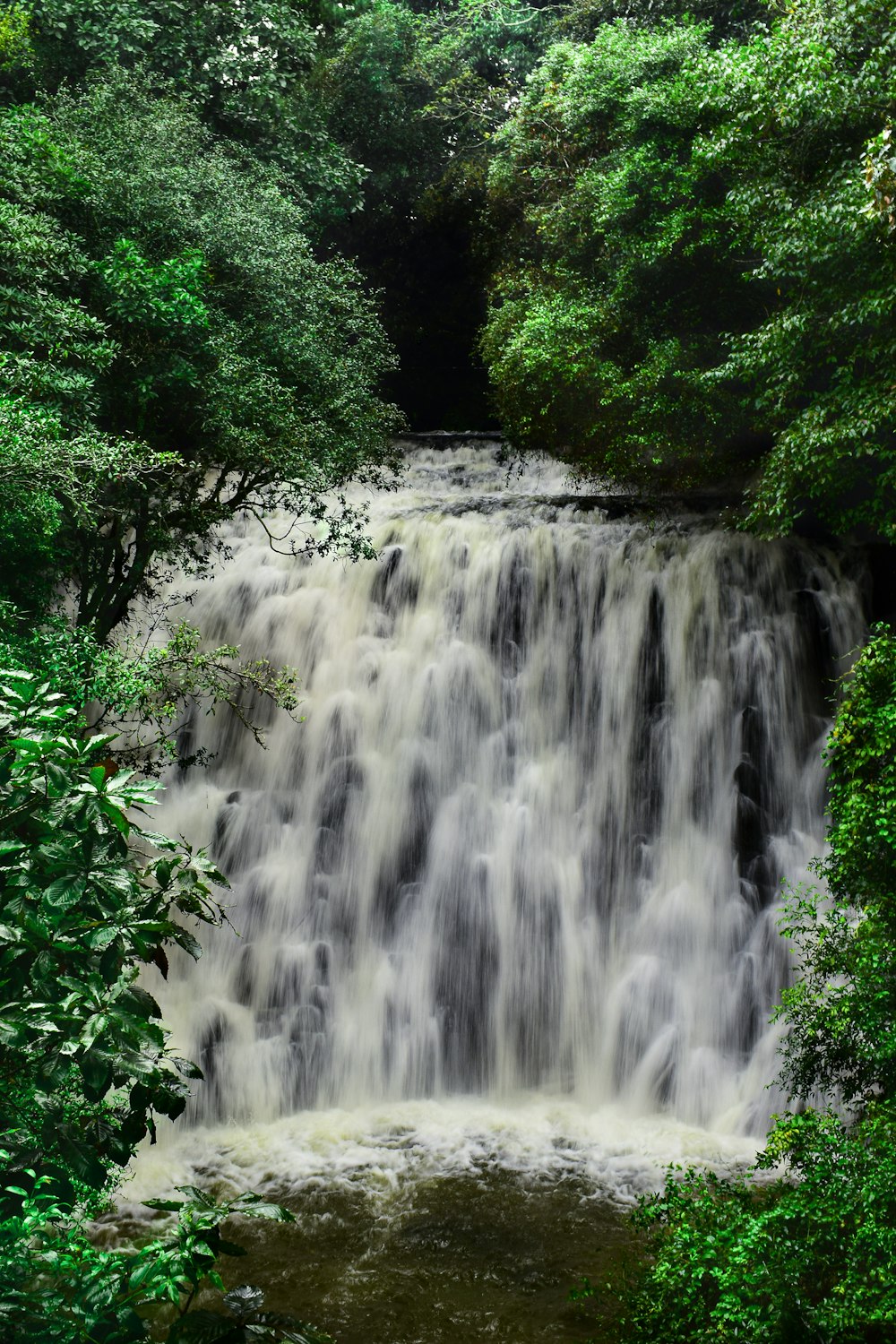 water falls in the middle of green trees