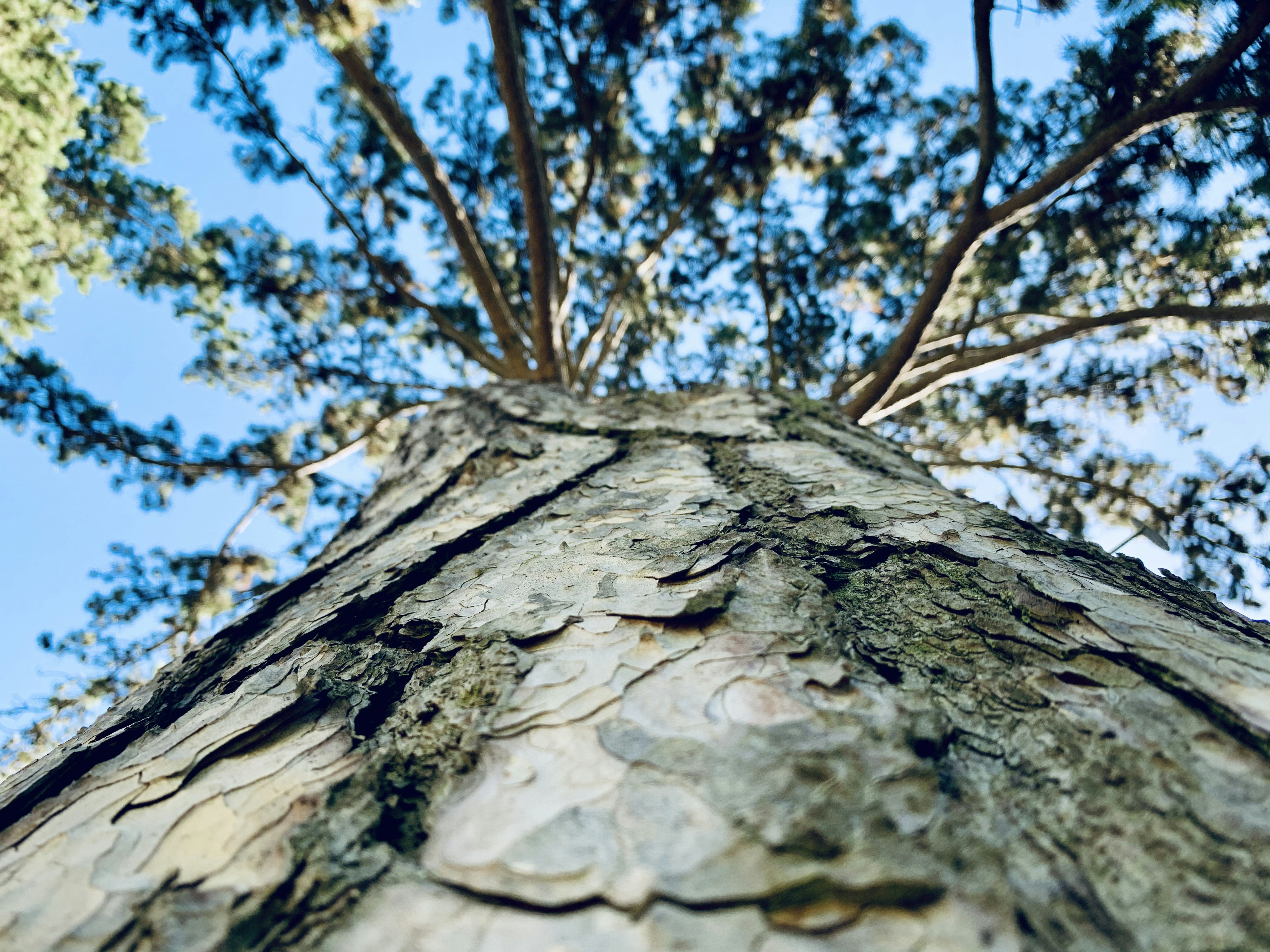 Photo by annie_kramer74