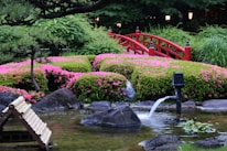 A tranquil Japanese garden scene featuring a red wooden bridge arching over a koi pond.