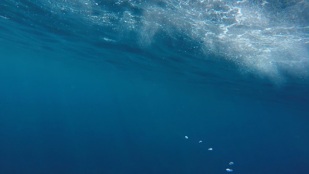 blue body of water during daytime