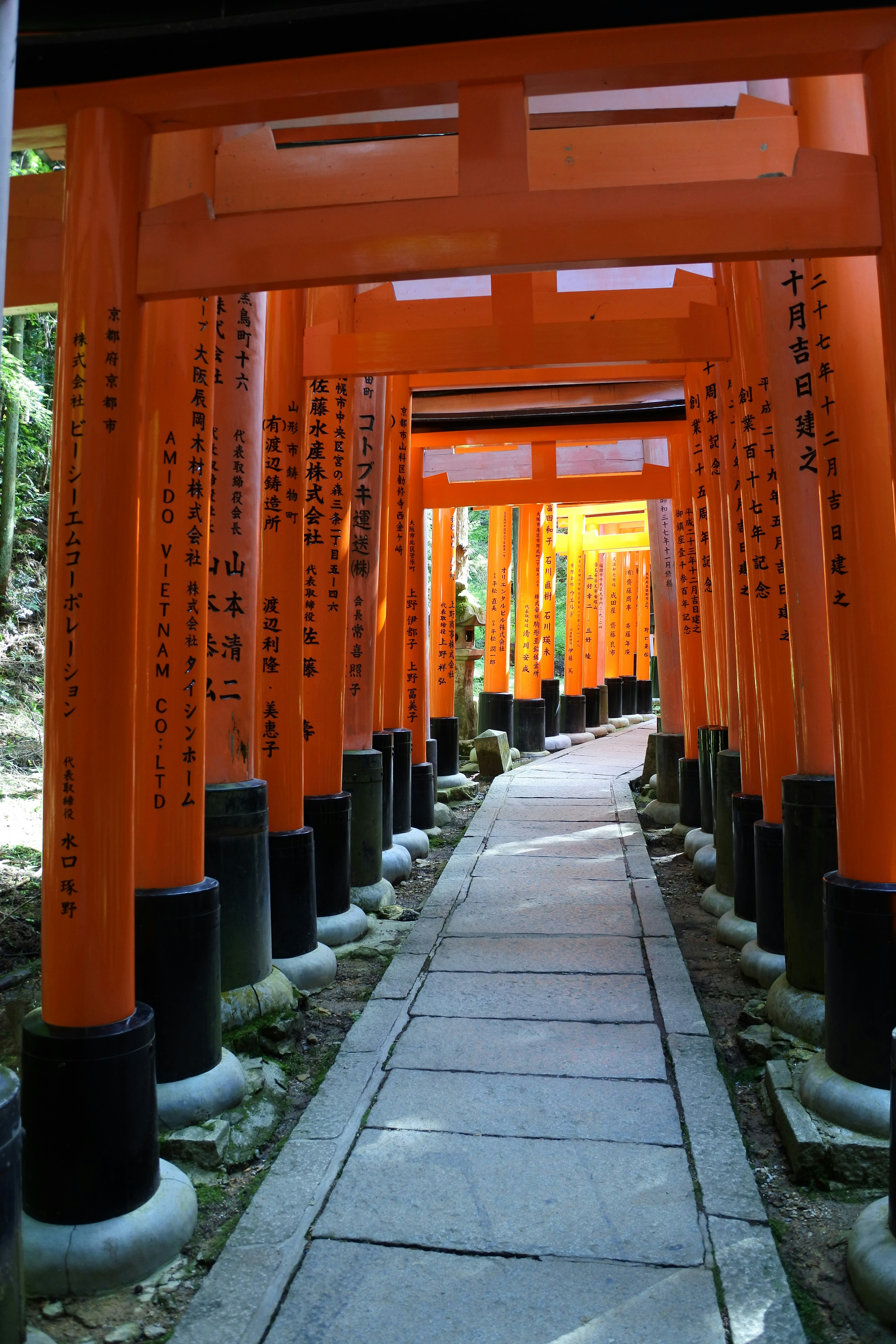 Orange And Black Posts On Gray Concrete Pavement Photo Free Image On Unsplash