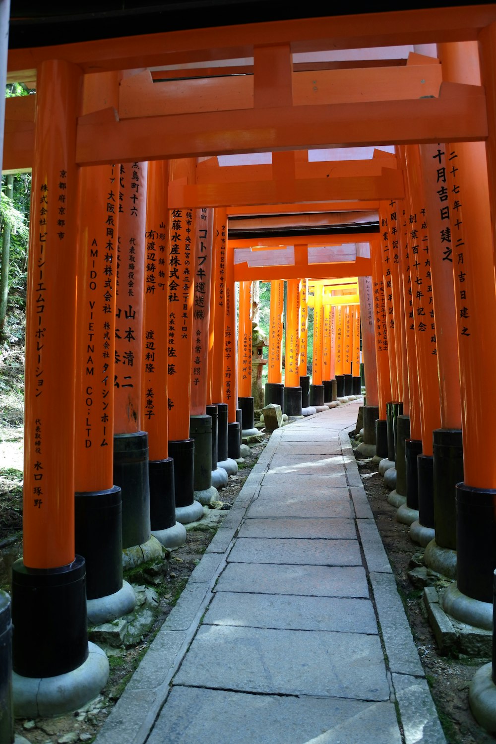 orange and black posts on gray concrete pavement