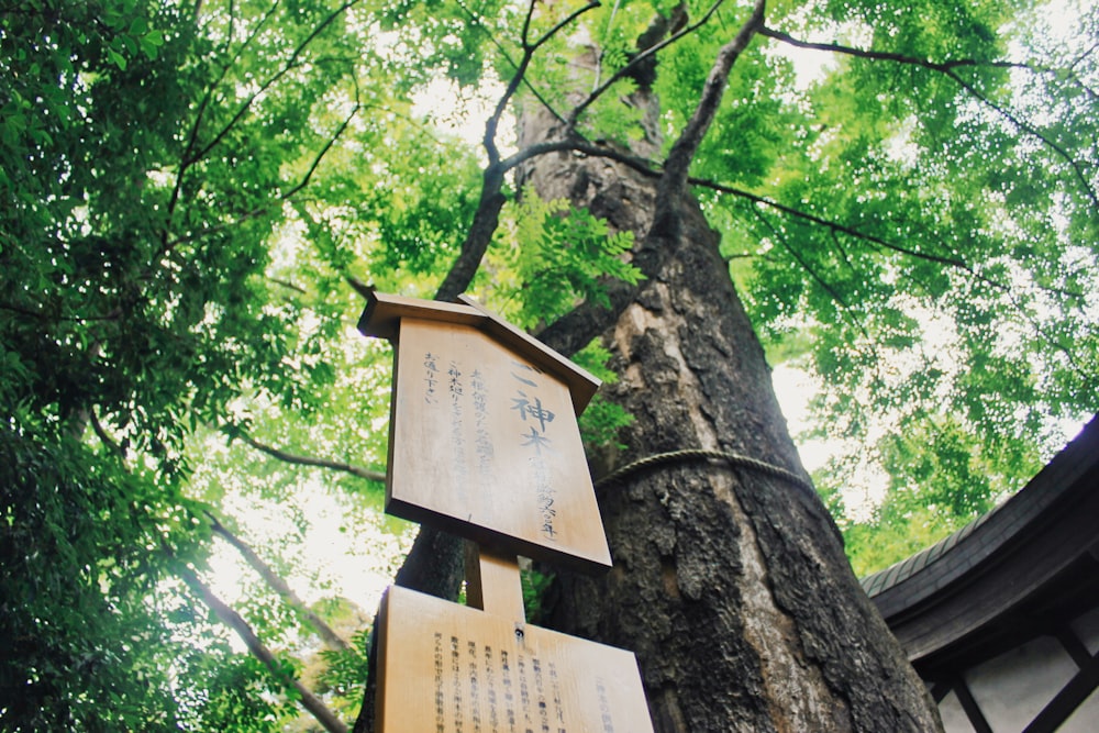 brown wooden signage on tree