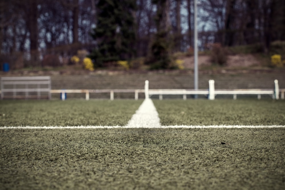 green grass field during daytime