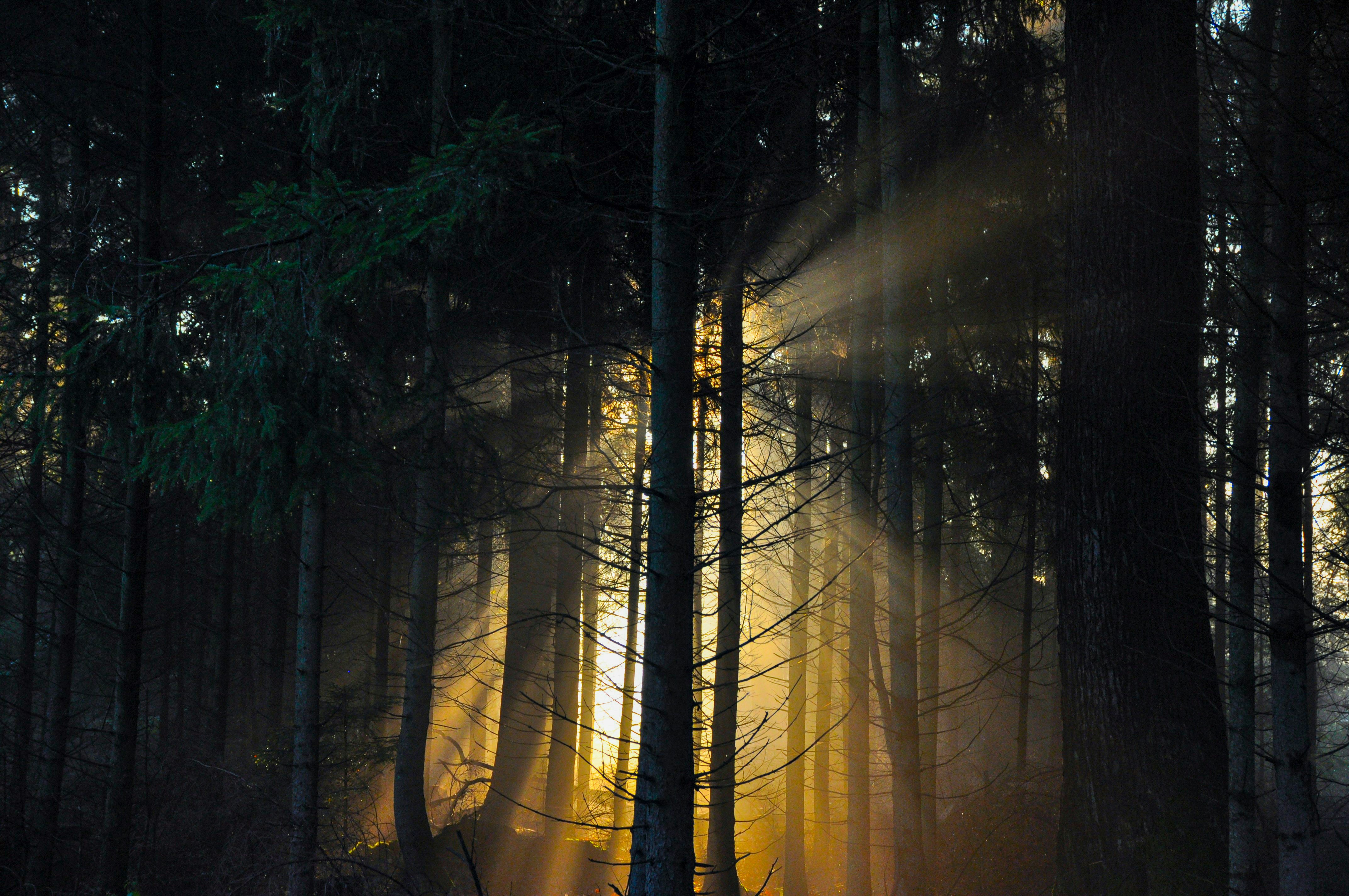 Photo by hanjo_amann