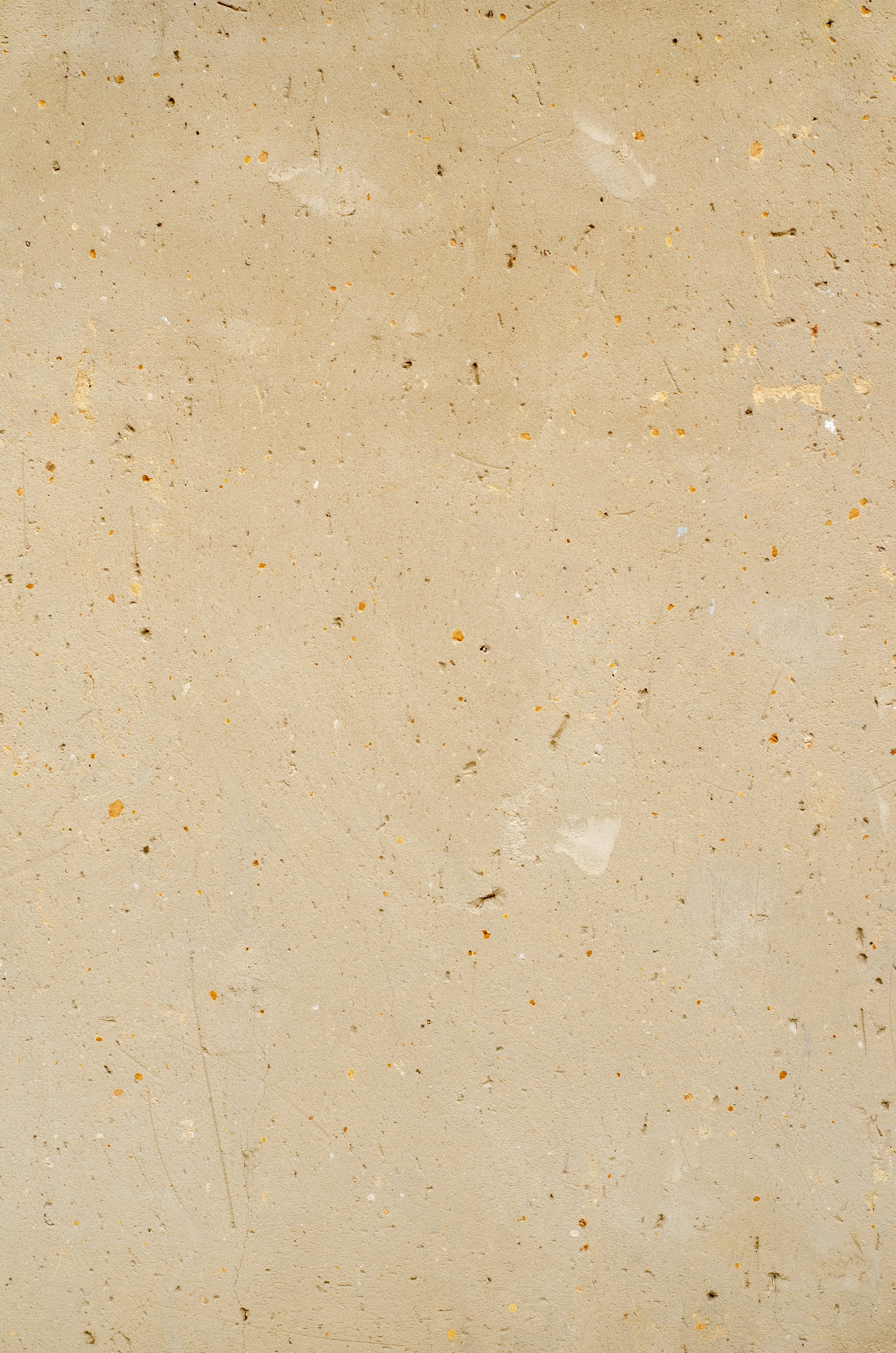 Photo by stewardesign