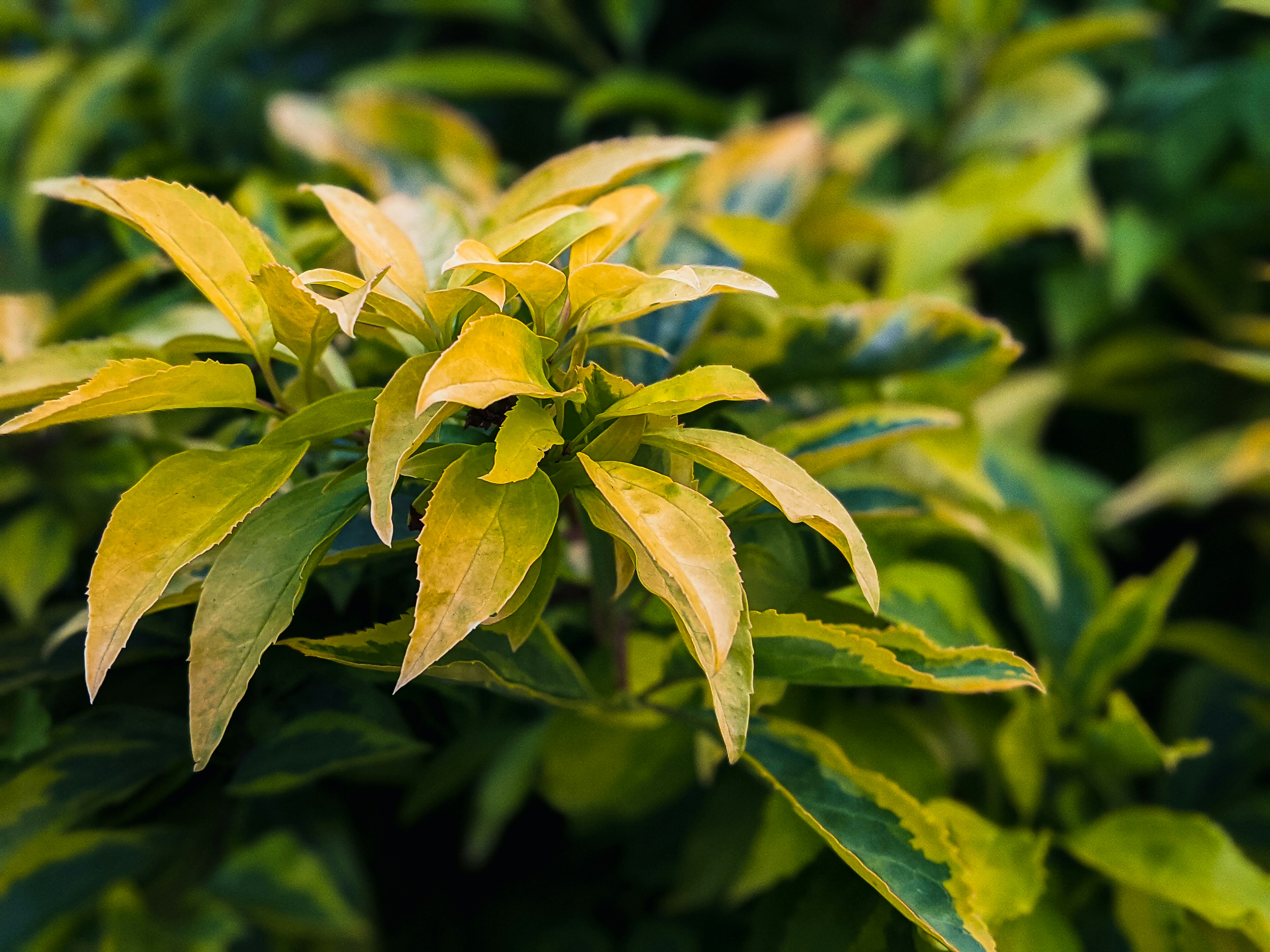 Photo by animgraphlab