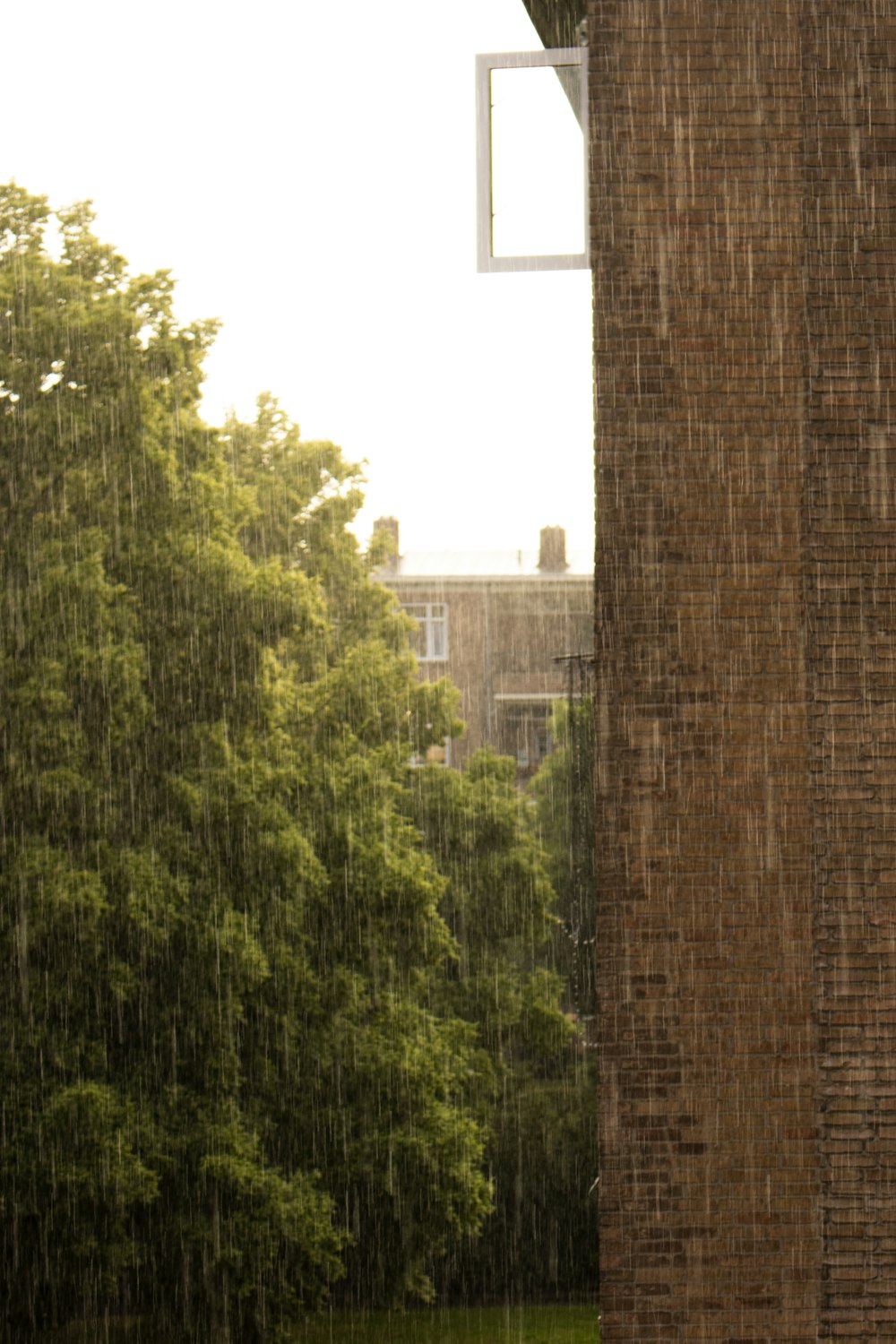 green trees beside brown brick wall