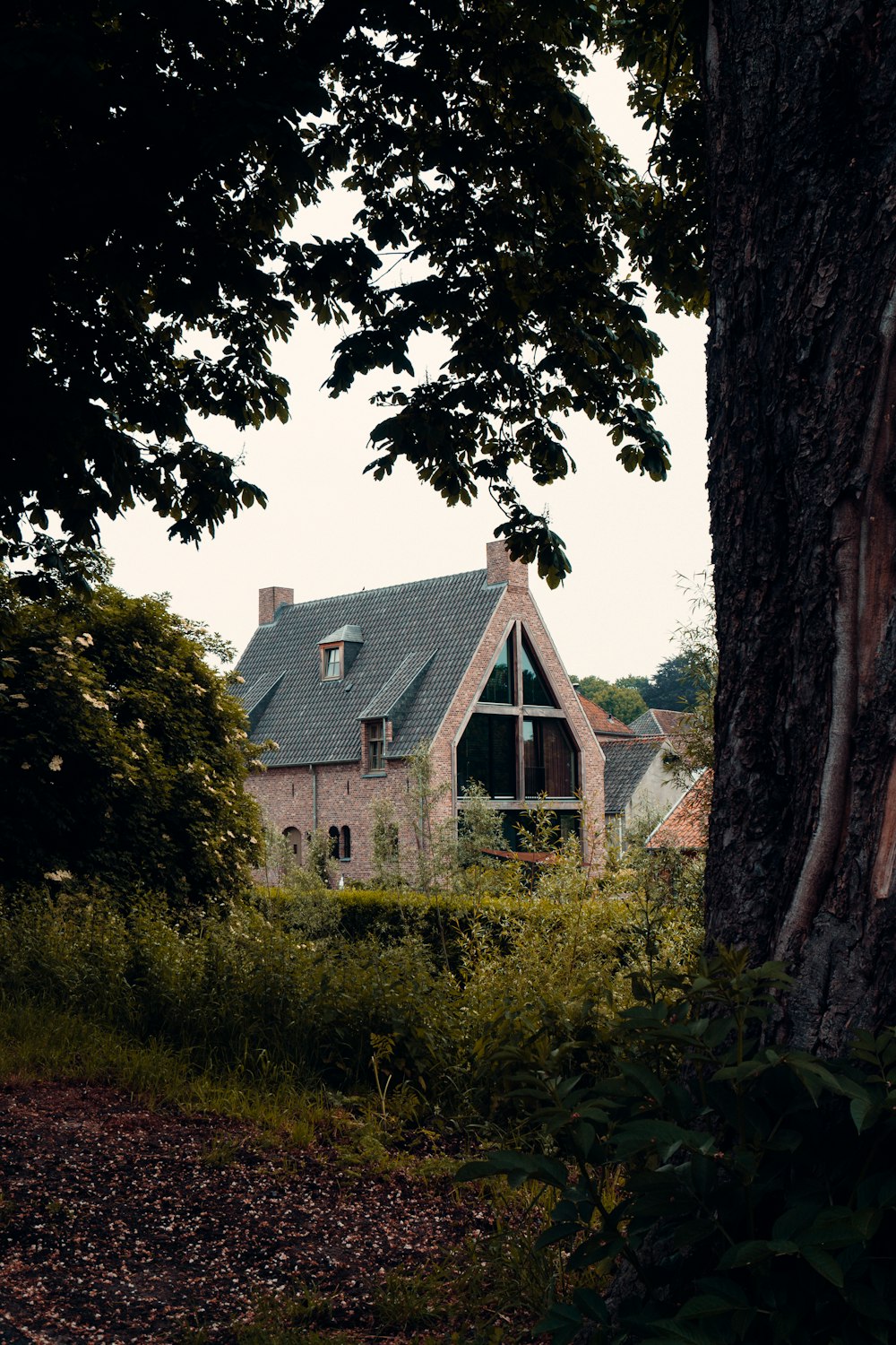 Braunes Betonhaus in der Nähe von grünen Bäumen tagsüber