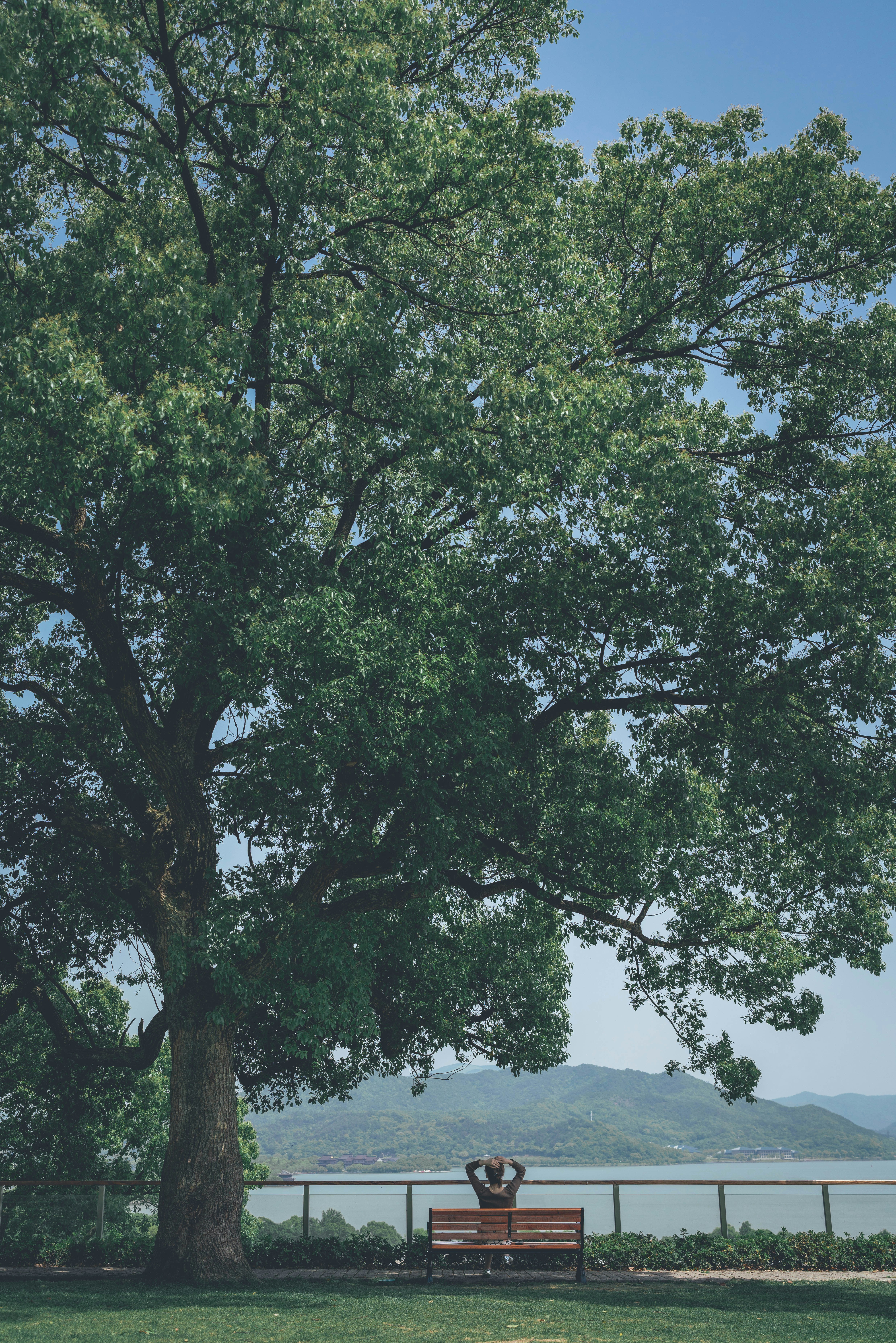 Photo by lorem_ipsuman