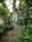 A lush green indoor garden with a stone pathway meandering through dense foliage. Various types of plants, including ferns and flowering vines, hang from the ceiling and walls, creating a vibrant, immersive jungle environment.