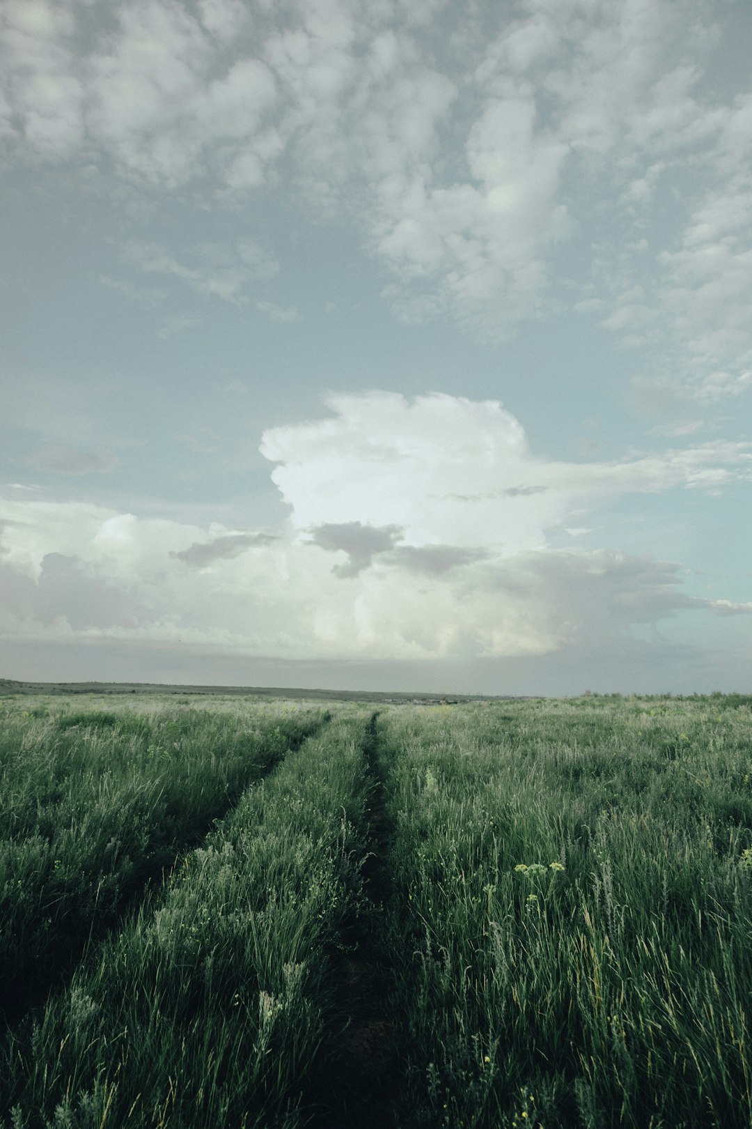 green grass field under white clouds during daytime