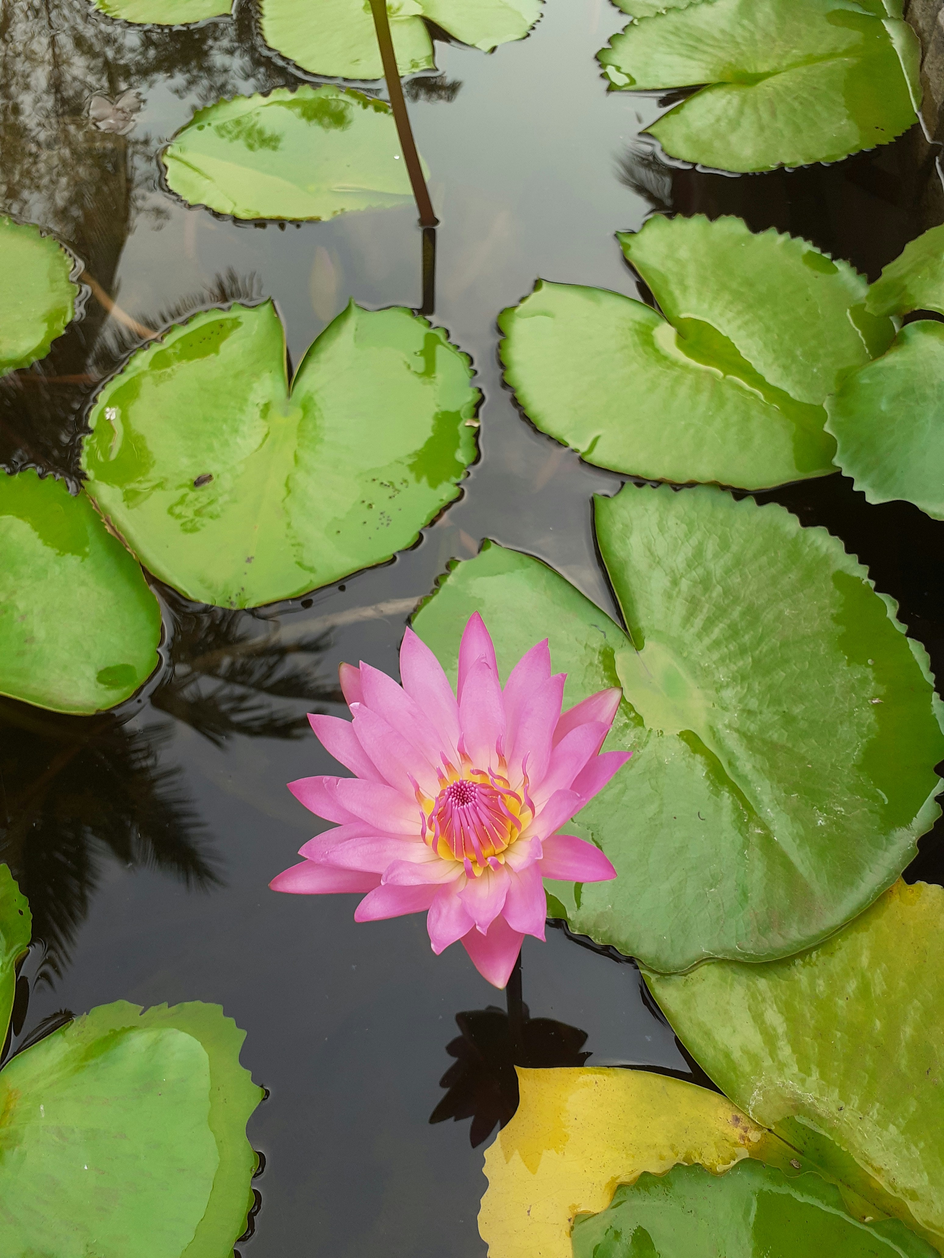 Photo by ayurvedaliving