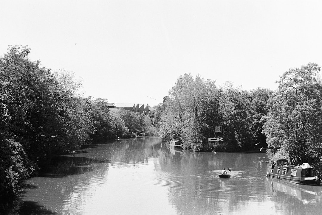 grayscale photo of river between trees