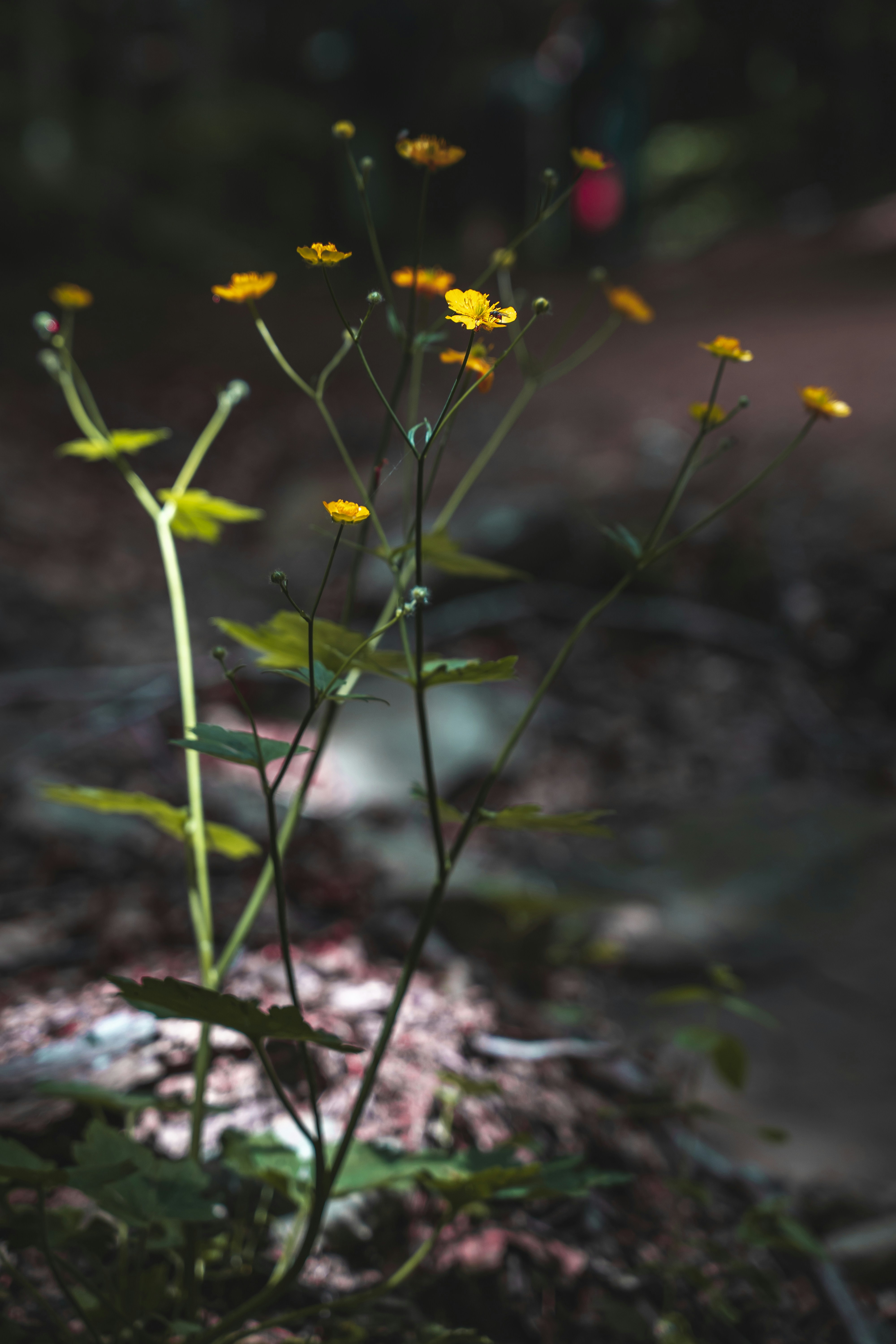 Photo by pf91_photography