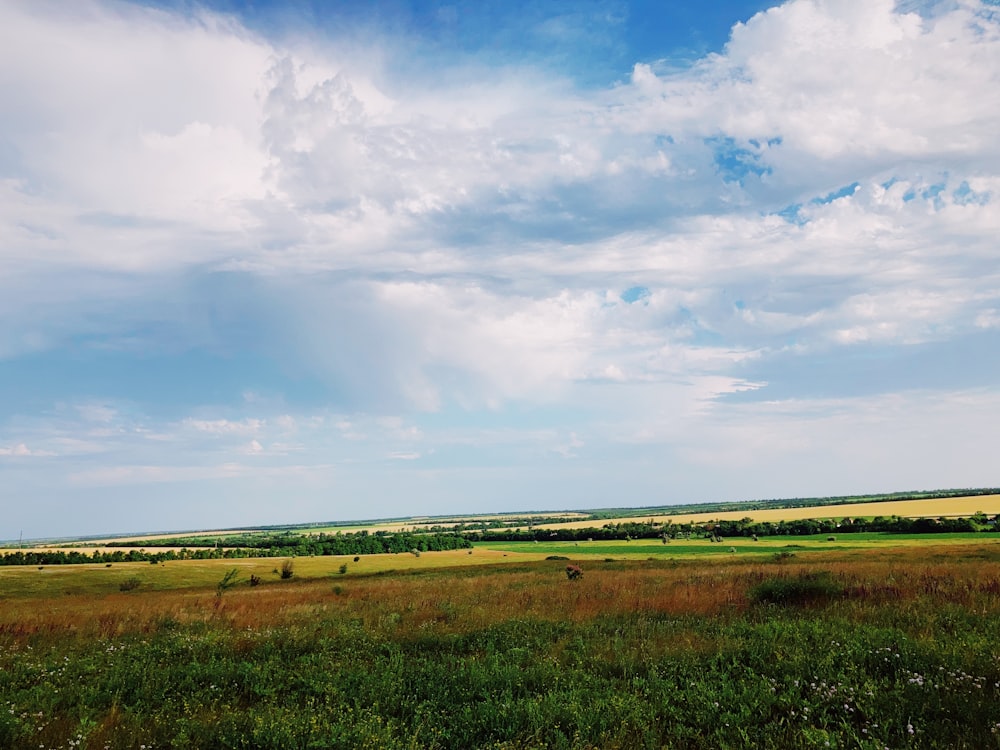 green grass field under blue sky and white clouds during daytime