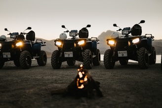 silhouette of 2 people riding atv during sunset