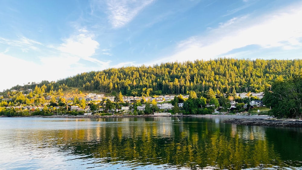 green trees beside body of water during daytime