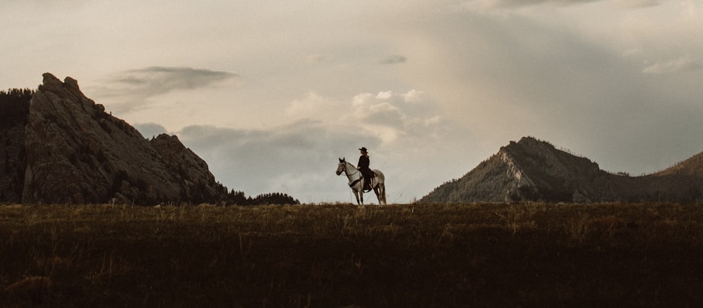 2 hombres caminando en el campo de hierba verde durante el día