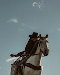 brown and white horse wearing cowboy hat