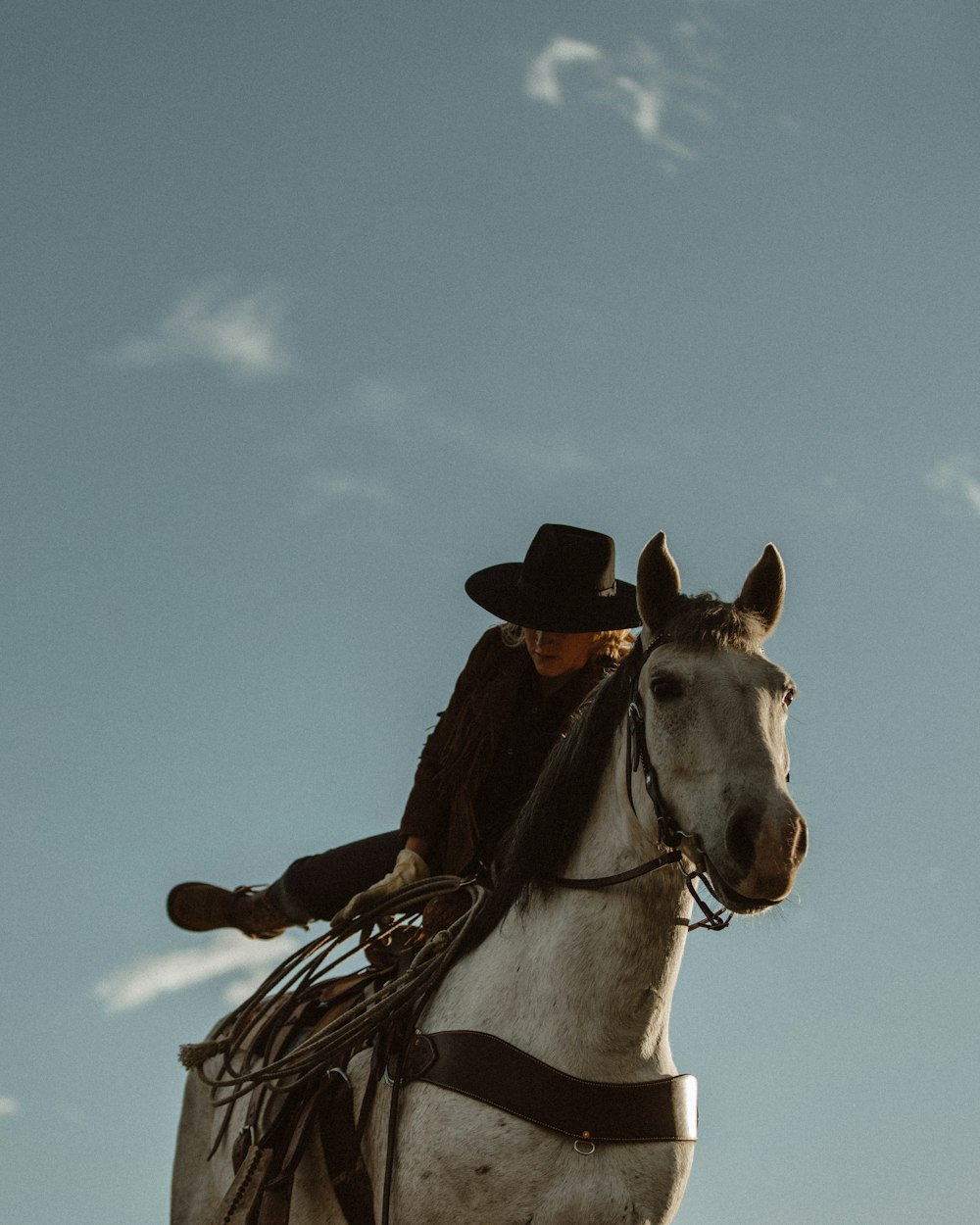 Braunes und weißes Pferd mit Cowboyhut