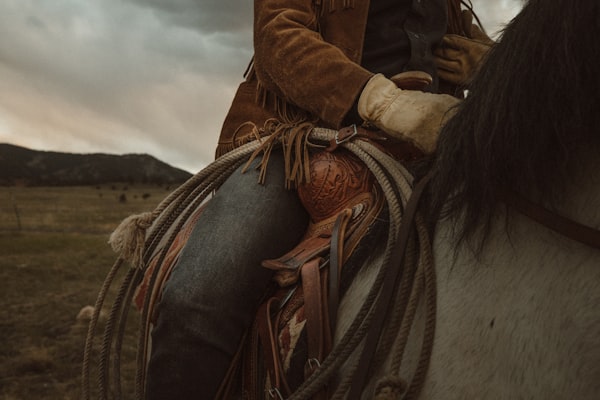 Cowboy Takes Over For Police