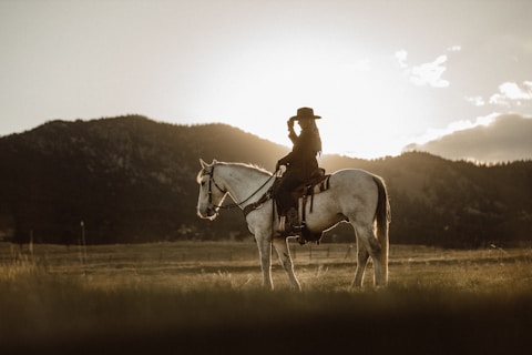 man riding on white horse during daytime