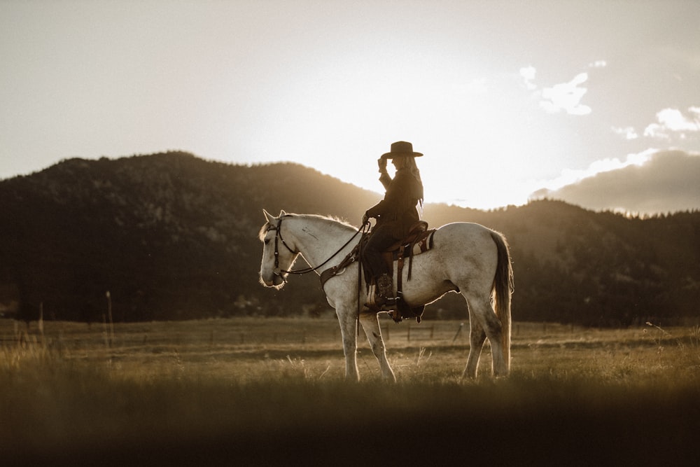 man riding on white horse during daytime