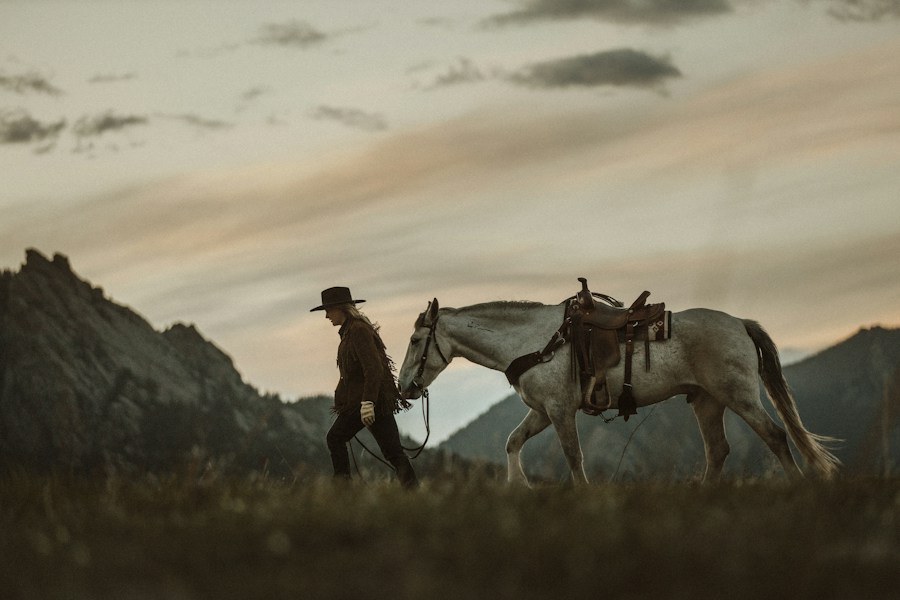 Cowboy with horse