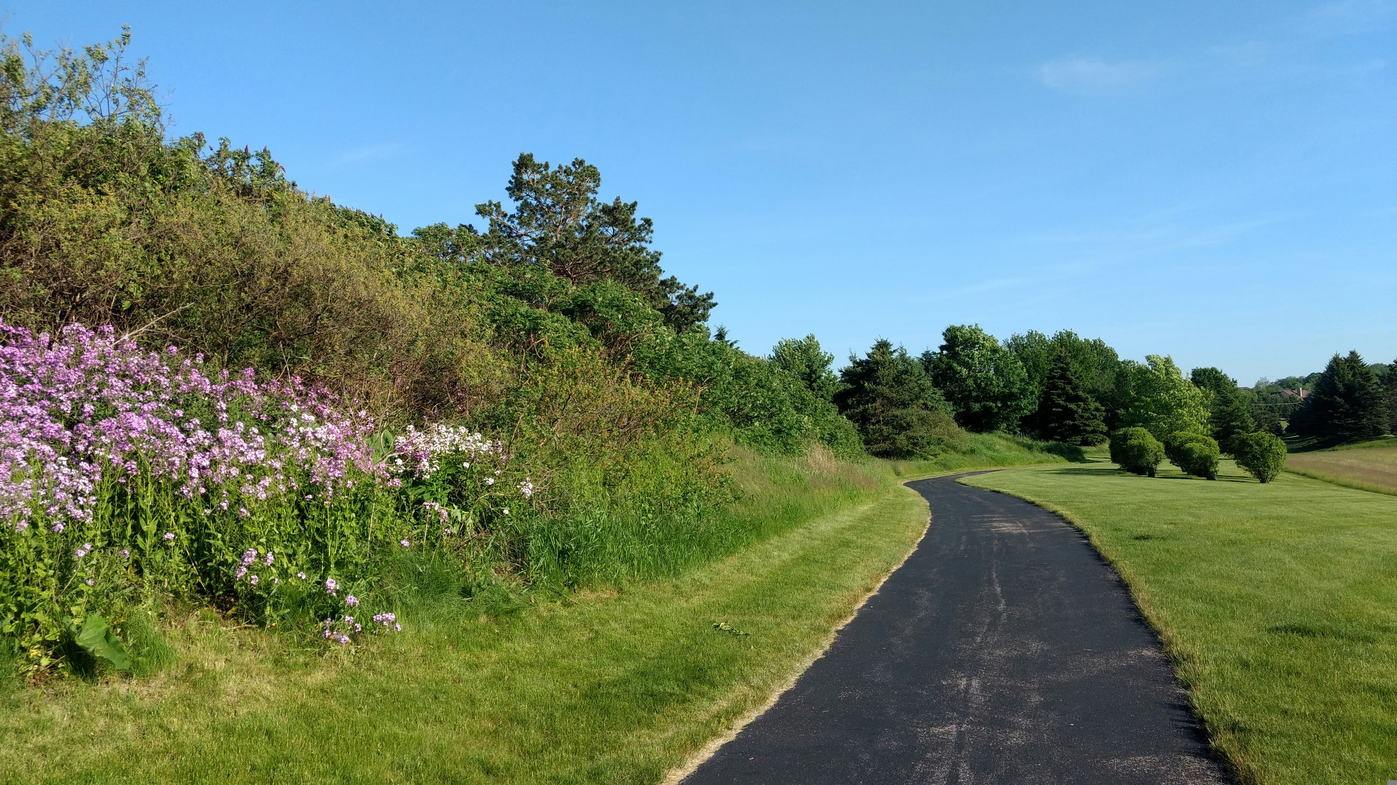 gray concrete road between green grass field under blue sky during daytime