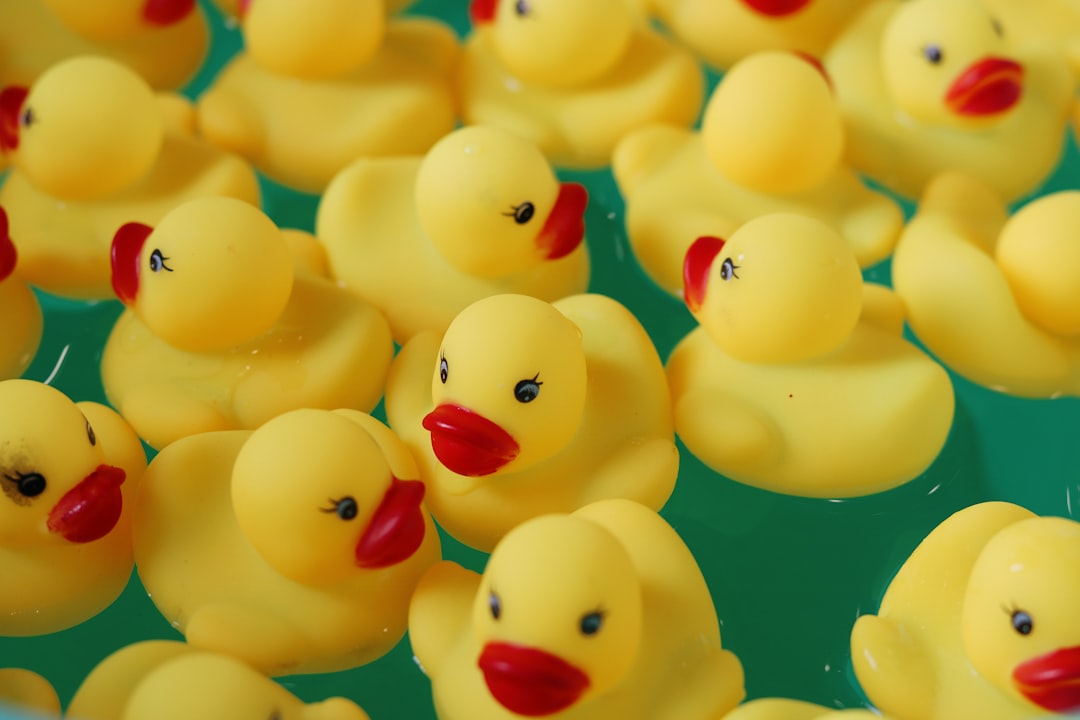 yellow rubber duck on blue and yellow plastic balls