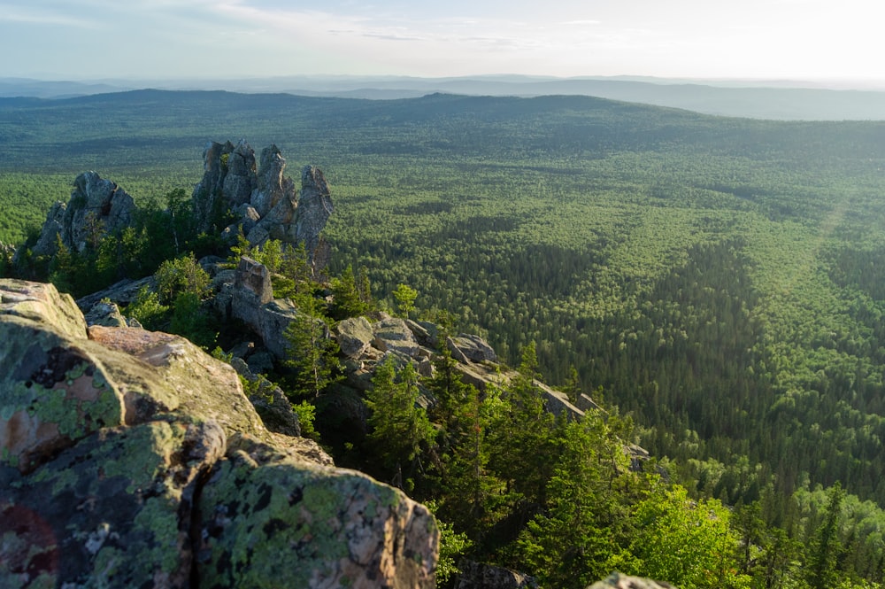 green trees on mountain during daytime