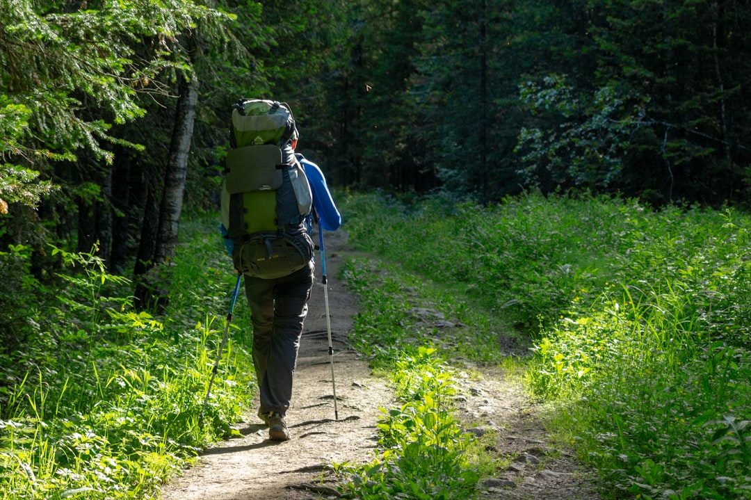 man in green shirt and brown pants with black backpack walking on dirt road between green, A tourist in a woods<p></figure>