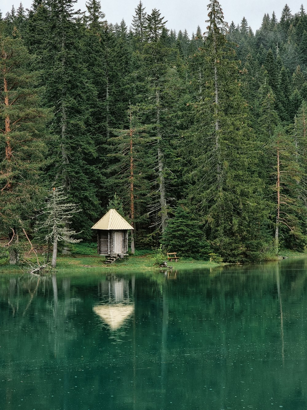 brown wooden house on lake surrounded by green trees during daytime