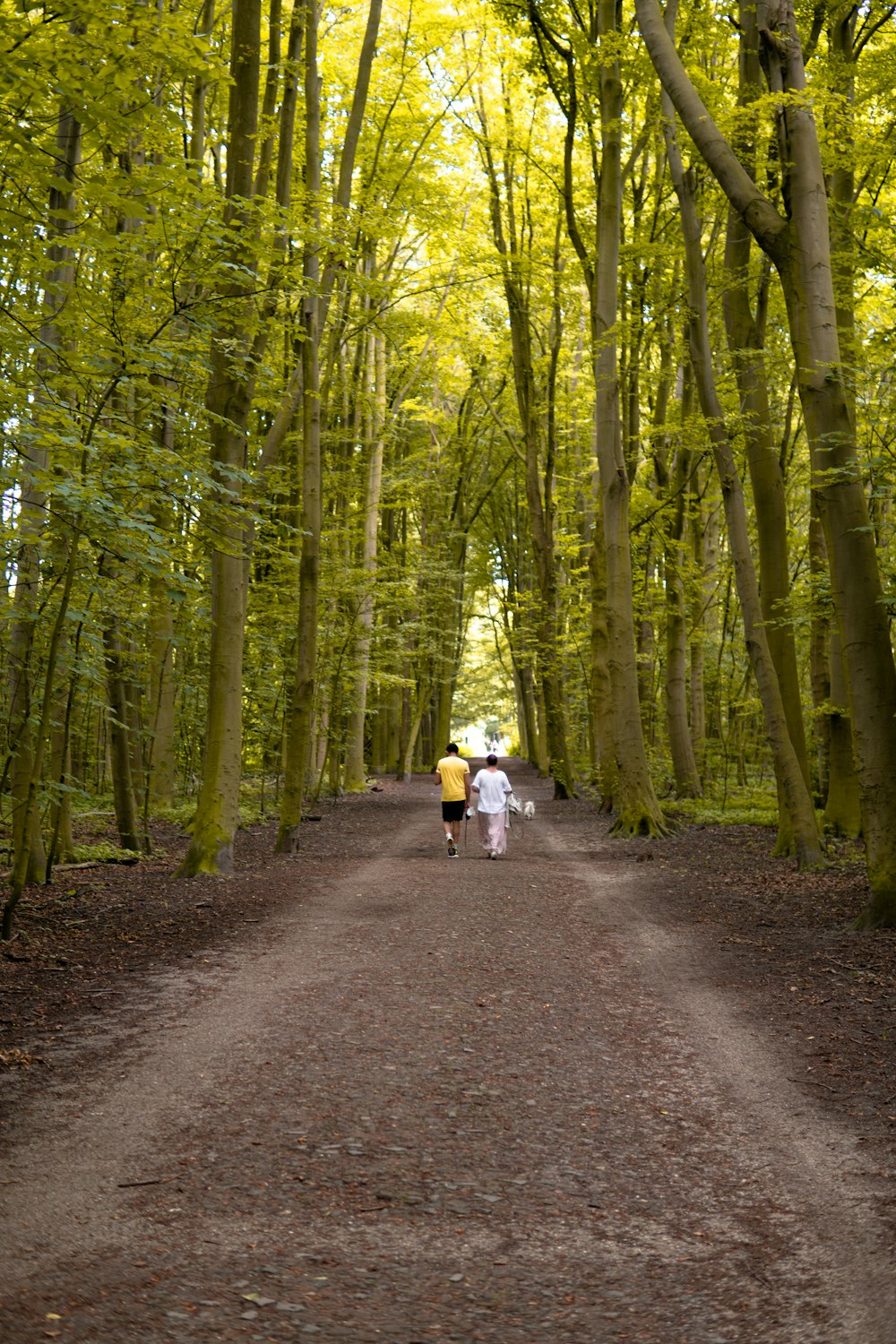 Frau in weißer Jacke und schwarzer Hose geht tagsüber auf dem Weg zwischen grünen Bäumen